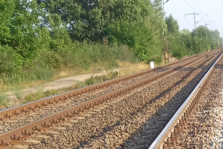 Halálra gázolt egy nőt a vonat Sülysápnál
