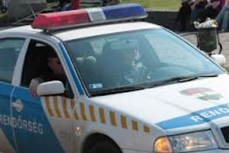 Fát lopott egy dombóvári ház udvaráról