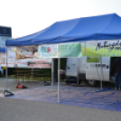 Juhász Csaba: Azok a kis Bassanoi kanyarok