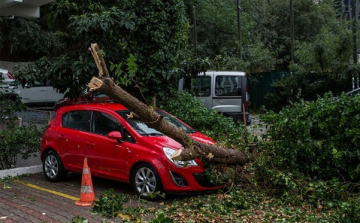 Tehetünk azért, hogy kevesebb viharkár legyen