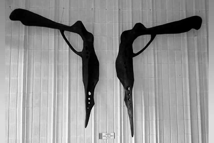 Négy kategóriában 22 új érték került a megye értéktárába