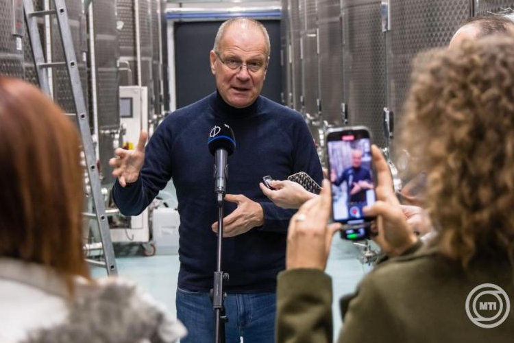 A kormány 3,8 milliárd forintot fordít a szőlő aranyszínű sárgaság megfékezésére