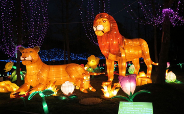 Megkezdődött a kínai lampionfesztivál a Fővárosi Állatkertben