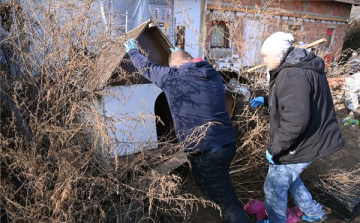 Kannabisztermesztőt fogtak el a rendőrök Bagon 