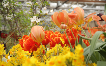 Színes tavaszi programokkal vár Dombóvár áprilisban