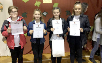 Anyanyelvből is siker a Bolyai Csapatversenyen